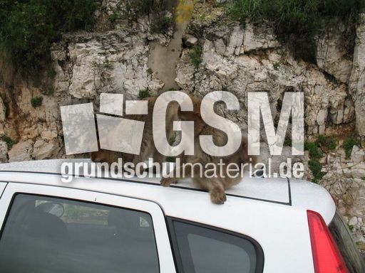 Spanien Andalusien Gibraltar 021.JPG